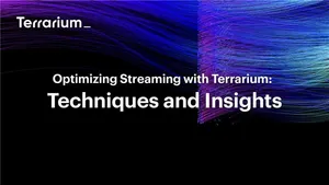 Optimizing Streaming with TerrariumDB: Techniques and Insights