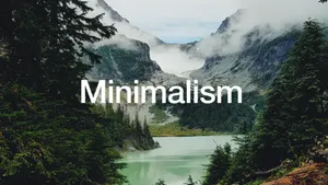 Minimalism grows e-commerce by creating engaging and compelling experiences